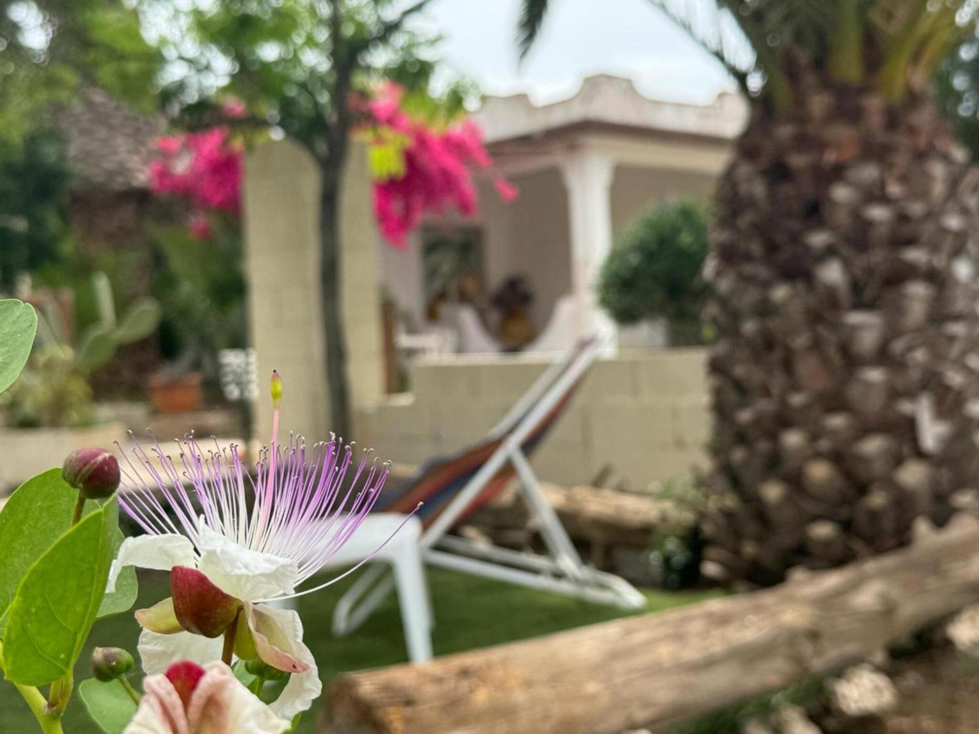 Villa Torretta - Mare Salento 마리나 디 리차노 외부 사진