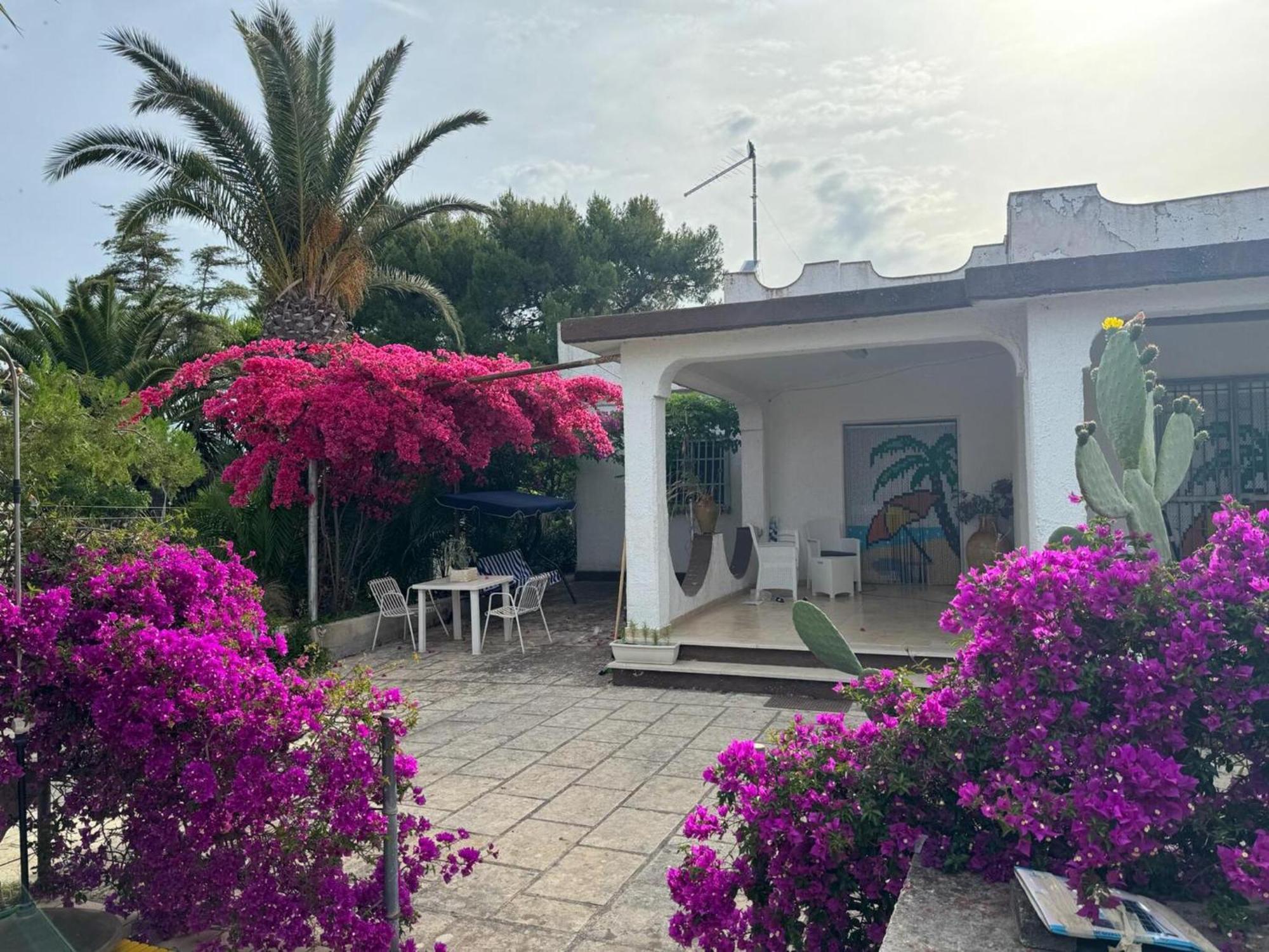 Villa Torretta - Mare Salento 마리나 디 리차노 외부 사진
